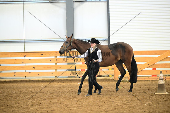 AJB_0235
