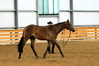 AJB_0289
