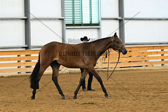 AJB_0289