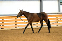 AJB_0290