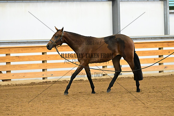 AJB_0290