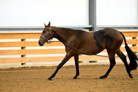 AJB_0292
