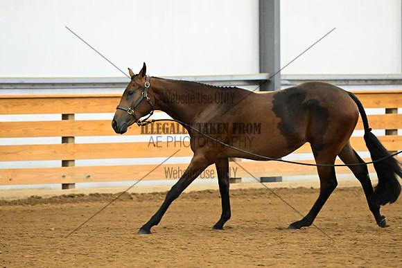 AJB_0292