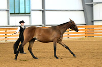 AJB_0291