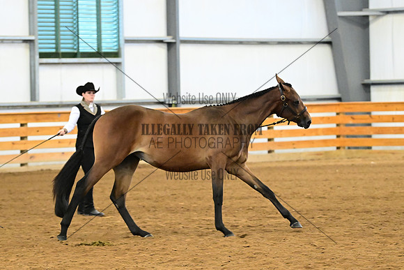 AJB_0291