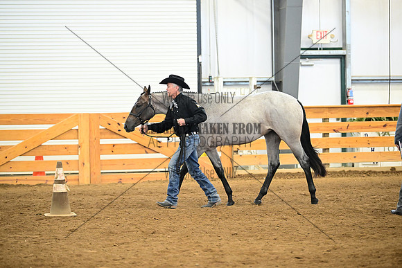 AJB_0240