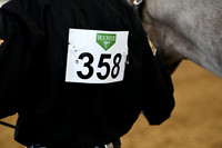 AJB_0244
