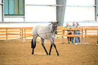 AJB_0302