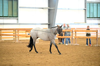 AJB_0305