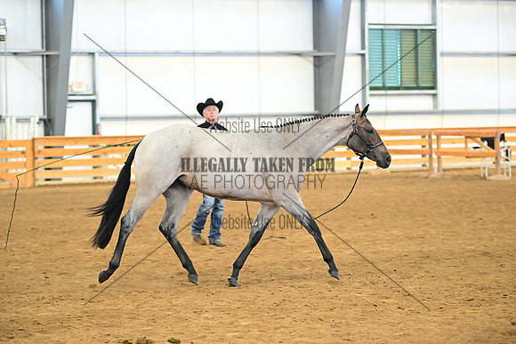 AJB_0310