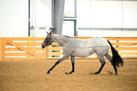 AJB_0311