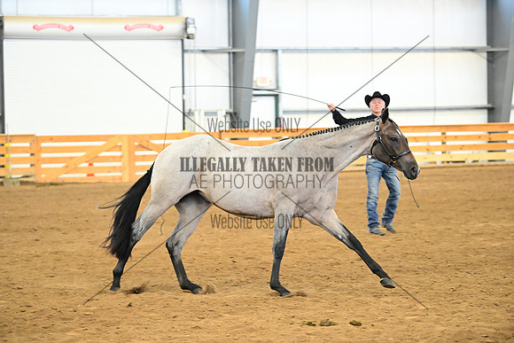 AJB_0312