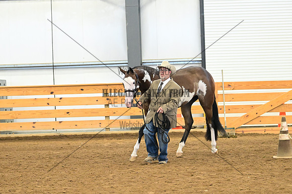 AJB_0259