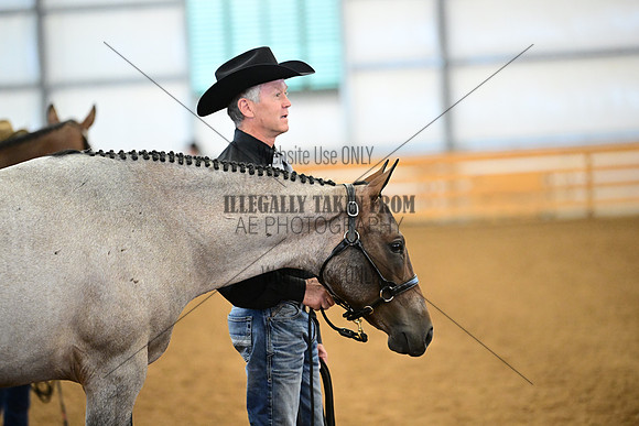 AJB_0388