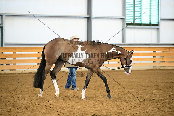 AJB_0343