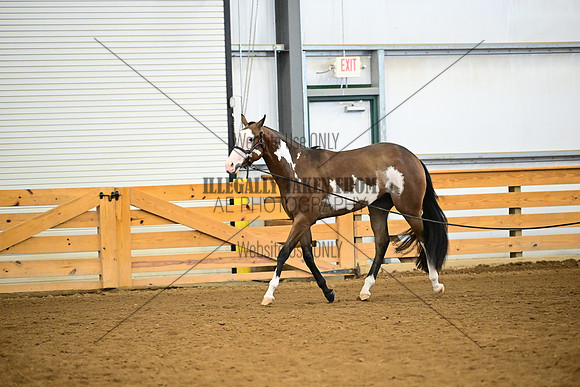 AJB_0344