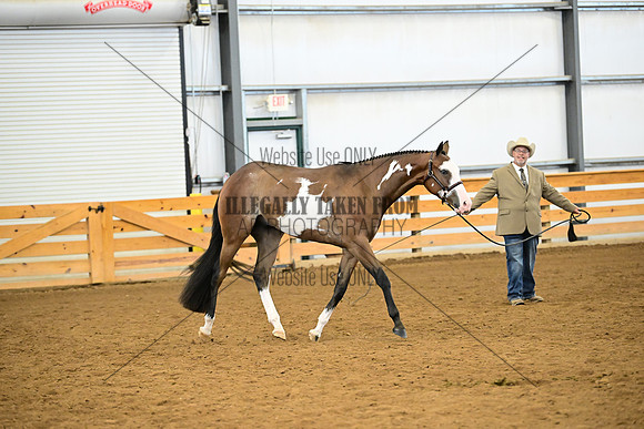 AJB_0345