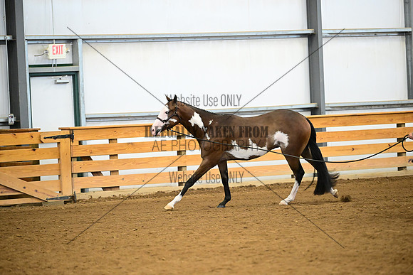 AJB_0346