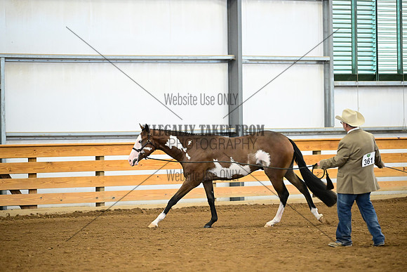 AJB_0348