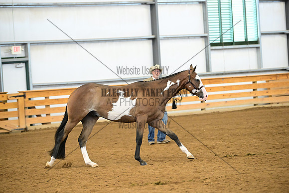 AJB_0347