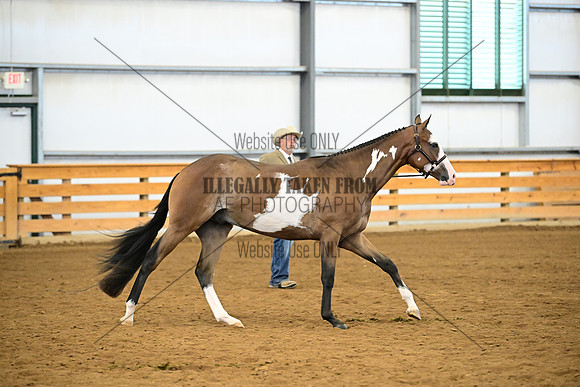 AJB_0349
