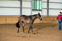 AJB_0093