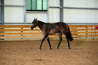 AJB_0096
