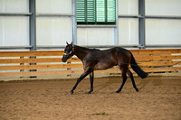 AJB_0098