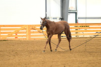 AJB_0279