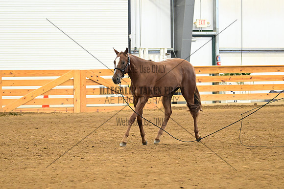 AJB_0279
