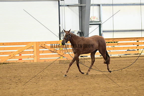 AJB_0281