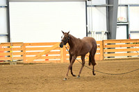 AJB_0282