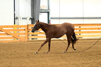 AJB_0283