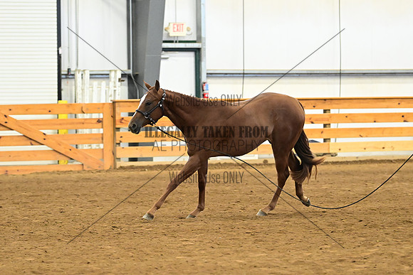 AJB_0283