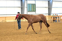 AJB_0284