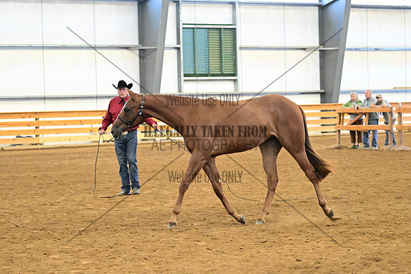 AJB_0284
