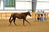 AJB_0285