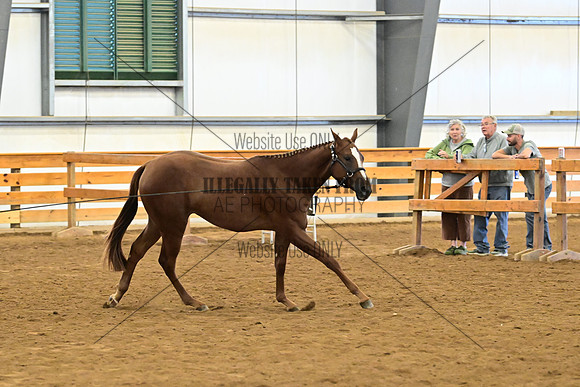 AJB_0285