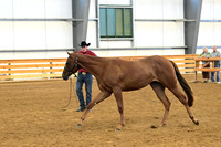 AJB_0286