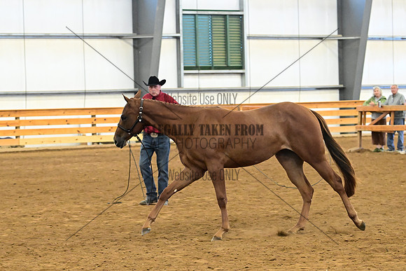 AJB_0286