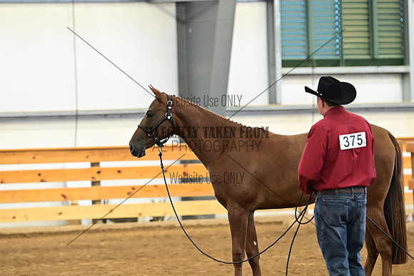 AJB_0276