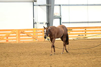 AJB_0277
