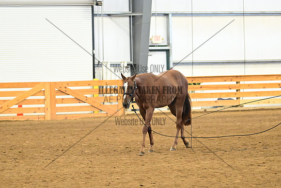 AJB_0277