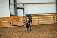 AJB_0184