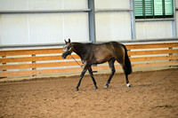 AJB_0185