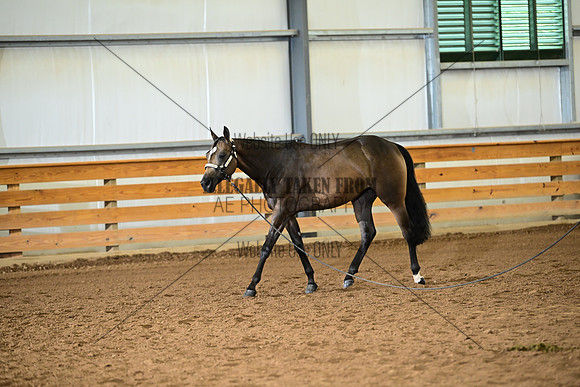 AJB_0185
