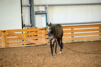AJB_0186