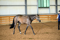 AJB_0187