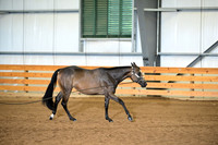 AJB_0192