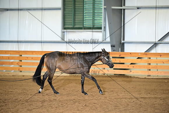 AJB_0192